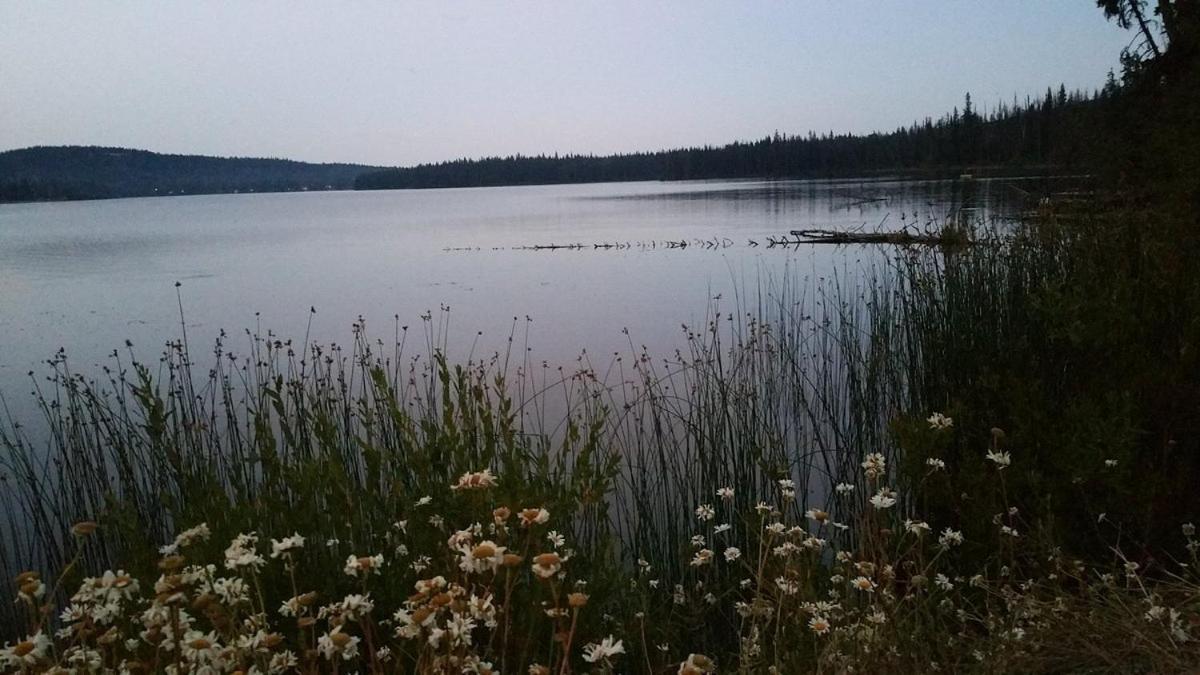 Lac Le Jeune Nature Resort Logan Lake エクステリア 写真